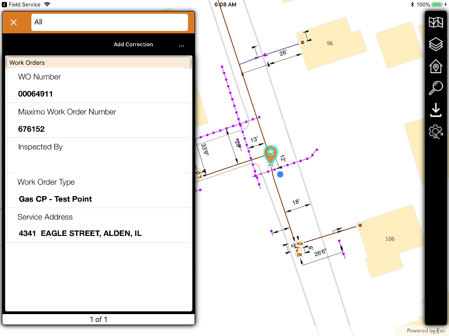Screenshot of how Lemur displays assets
